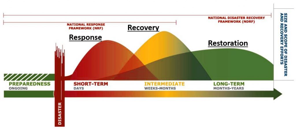 Executive Matters: Seeing Past the COVID-19 Crisis with a Critical Processes Framework